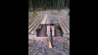 Осенняя охота по боровой в Ленинградской области