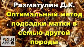 #Рахматулин
