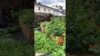 Check Out This Dreamy Kitchen Garden #kitchengarden #gardenary