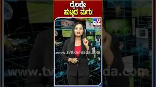 ರೈಲಲ್ಲೇ ಮಹಿಳೆಗೆ ಹೆರಿಗೆ! #Baby #Tv9D