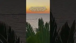 Ты, море, Грейс Лазурь… и только одна миссия — отдыхать  