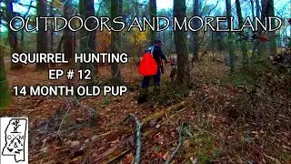 Squirrel hunting with dogs 2021 (kill shot!) 2021 Squirrel Season EP. #12 