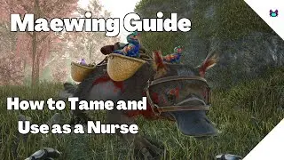 Maewing Guide - How to Tame and Use As a Baby Nurse - Ark Survival Evolved.