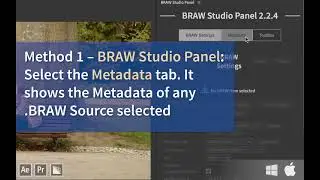 BRAW Studio : How to Import and Visualize .BRAW Metadata with the PrPro Panel