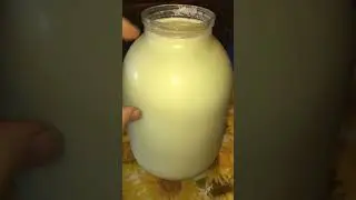 Как снять сливки с деревенского молока