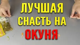 САМАЯ УЛОВИСТАЯ СНАСТЬ НА ОКУНЯ!