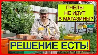 🔴 Пчёлы не идут в магазины? - Подскажу простое решение! Видео по пчеловодству для начинающих 2022 🔴