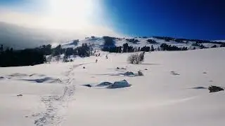 Шерегеш. Фрирайд на сноубордах в январе.