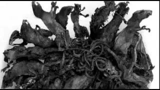 The Rat King
