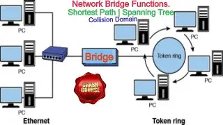 Bridge Network function| What is a Network Bridge | Bridge in Networking |Spanning tree |Bridge uses