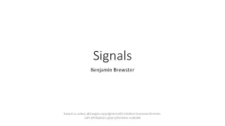 3.3 Signals