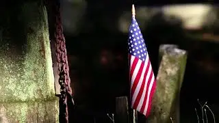 USA Flag in Cemetary