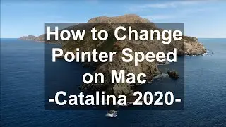 How to Change Pointer Speed on Mac - Catalina 2020