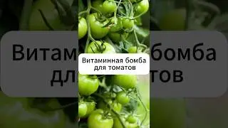 Витаминная бомба для томатов  