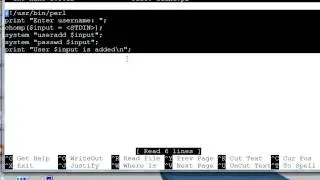 Linux user manual basic bash and perl script and testing
