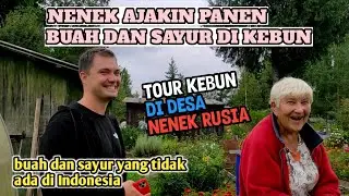 TOUR KEBUN || BERSAMA NENEK PANEN BUAH DAN SAYUR DI DESA RUSIA || ASLI SEGER BANGET