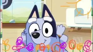 Bluey | Socks draw the FaceyTalk