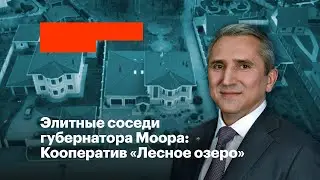 Элитные соседи губернатора Моора: Кооператив «Лесное озеро»