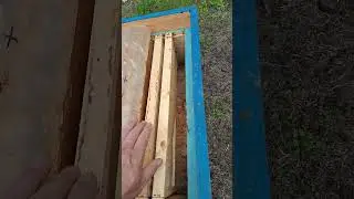 нуклеус на 145мм рамку