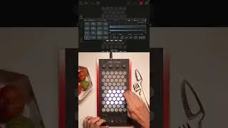 Exquis -  Speedrum Lite (@apisonicaudio ) "Lo Fi 1" factory drumkit #livelooping #recording #daw