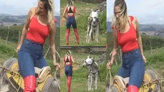 Donkey and pony riding new video 