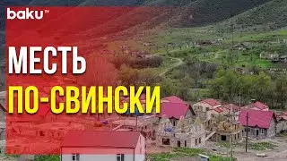 Приступ « Армянской Шизофрении » – Покидающие Забух Убивают Домашних Животных | Baku TV | RU