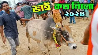 Bhai koto Nilo 2024 || Sirajganj Gas Line Gorur haat 2024 Part-49 || Qurbani Cow price in Bangladesh