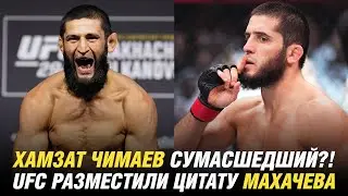 Хамзат Чимаев сумасшедший?! UFC разместили цитату Ислама Махачева, Макс Холлоуэй бросил вызов