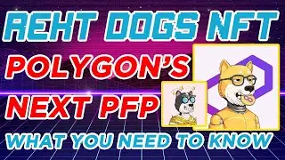 Rekt Dogs NFT - Polygon's Popular PFP