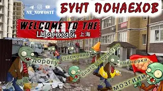 Краснодар. Бунт в Шанхае