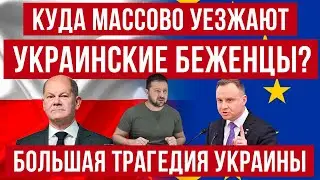 Куда массово едут украинцы из Украины? Из каких стран ЕС уезжают украинцы!