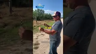 Волшебный способ поиска воды под землей 