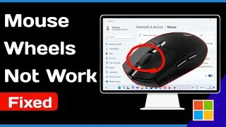 How to Fix Mouse Wheel Scrolling Problem Easy Way 2024