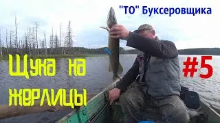 Шикарный отдых в таежной избе/щука на жерлицы/ТО