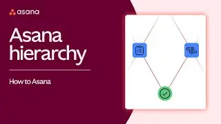 Information hierarchy in Asana