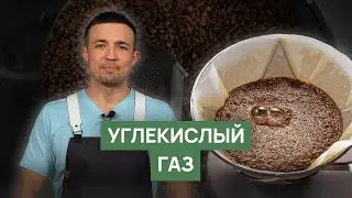 Углекислый газ в кофе | Влияние на экстракцию