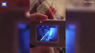 Отец годовалой малышки пришёл в ужас от записи с камеры наблюдения