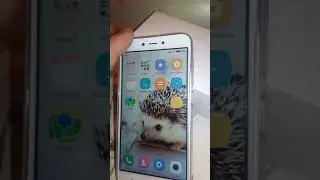 Xiaomi Redmi 4X Pro с aliexpress