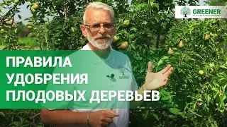 Летние удобрения | Секреты ОГРОМНОГО урожая в моем саду