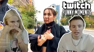 modestal смотрит Топ Моменты с Twitch | Свидание Злого и Дианы Райс | Модестал Отмечают 350000 |