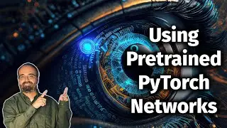 Using PyTorch Pretrained Neural Networks (5.3)