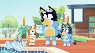 It’s Summer Time! | Bluey