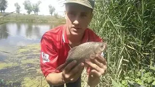 Рыбалка на реке Тузлов. Поймали черепаху!!!