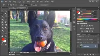 Adobe Photoshop - Zooming In and Zooming Out