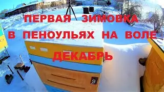 Зимовка в пеноульях на воле. Декабрь 2022г. Карника F1. Южный Урал