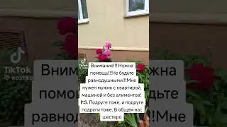 Помоги, не оставайся в стороне!