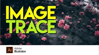 How to trace an image in Adobe Illustrator using a photo and the Image Trace Tool