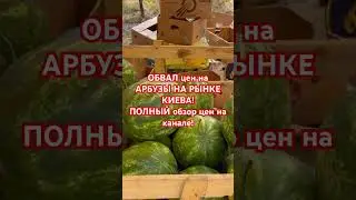 🇺🇦😊ГОРЫ АРБУЗОВ НА ЯРМАРКЕ КИЕВА! #украина #київ #киев #україна #обзор #арбуз #украинавойна