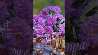 С добрым утром !С Новым днём!☀️😍🌺Хорошей погоды за окном и в душе !💛