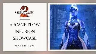 GW2 - Arcane Flow Infusion Showcase - Wizard's Vault -  Guild Wars 2